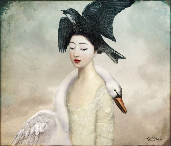 12-Beaux tableaux de Catrin Welz-Stein