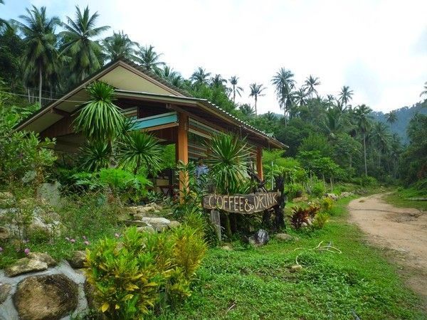 Voyage à Kho Samui  ( ile Thailandaise )