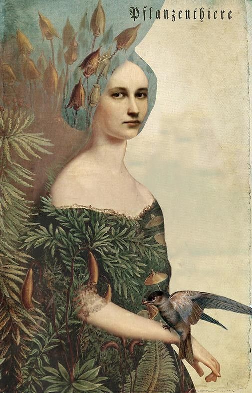 12-Beaux tableaux de Catrin Welz-Stein