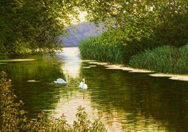 Paysages en peintures C  de David Smith 