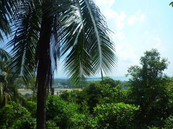 Voyage à Kho Samui hiver 2013 ( Suite)