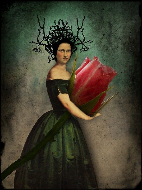 12-Beaux tableaux de Catrin Welz-Stein