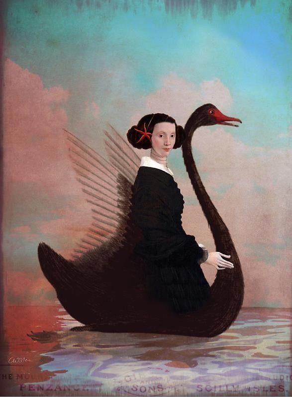 12-Beaux tableaux de Catrin Welz-Stein