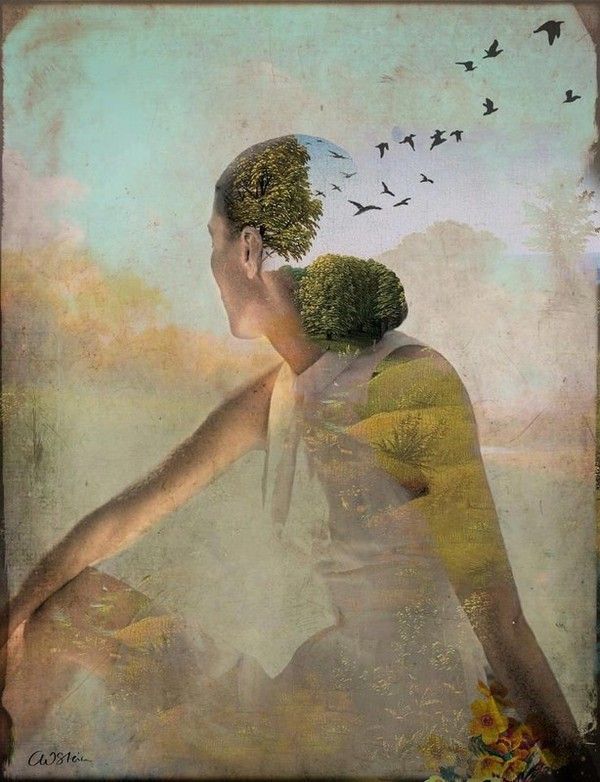 12-Beaux tableaux de Catrin Welz-Stein