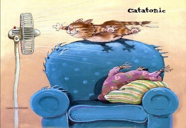 Mignonnes illustrations de Gary Patterson