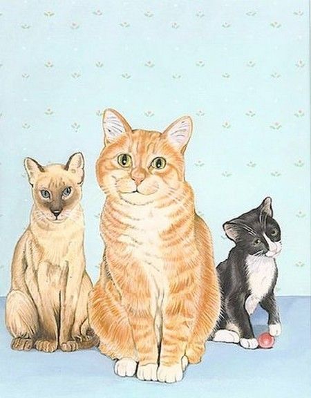 Chats ou chiens en illustrations serie B