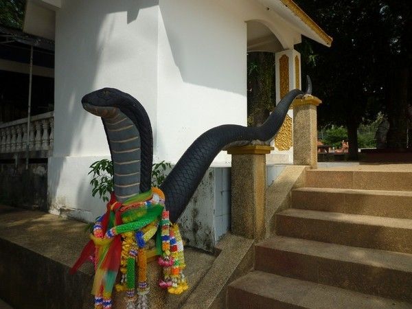 Voyage à Koh Samui  ( ile Thailandaise )