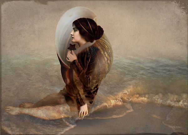 12-Beaux tableaux de Catrin Welz-Stein