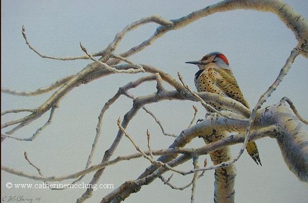 Beaux oiseaux peints par Catherine McClung 