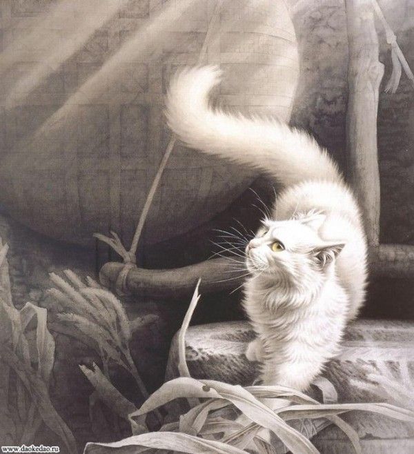 Art asiatique   serie  2  ( chats  )     X.S 