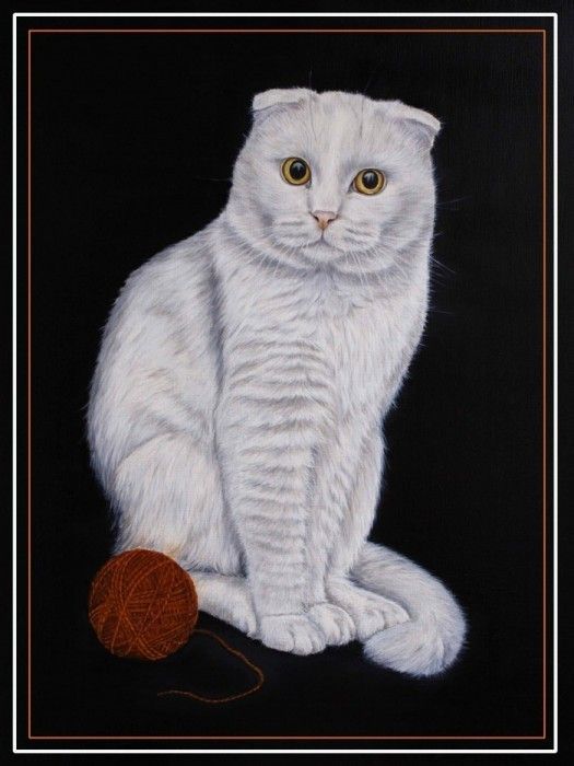 chats en peintures ( serie A )  ( M.Y)