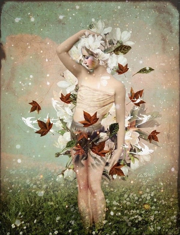 12-Beaux tableaux de Catrin Welz-Stein