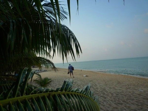 Voyage à Koh Samui  ( ile Thailandaise )