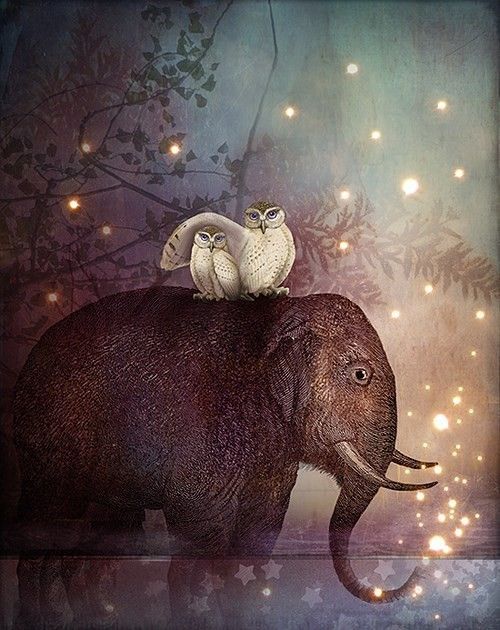 12-Beaux tableaux de Catrin Welz-Stein 