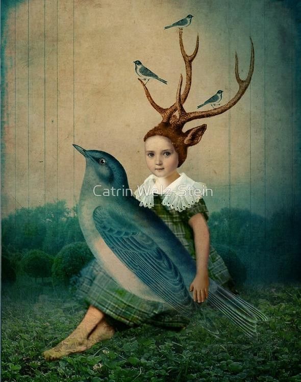 12-Beaux tableaux de Catrin Welz-Stein 