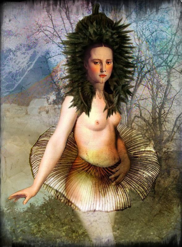 12-Beaux tableaux de Catrin Welz-Stein