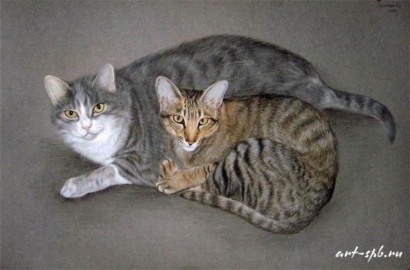 Chats  en peintures  serie A   ( J.D)