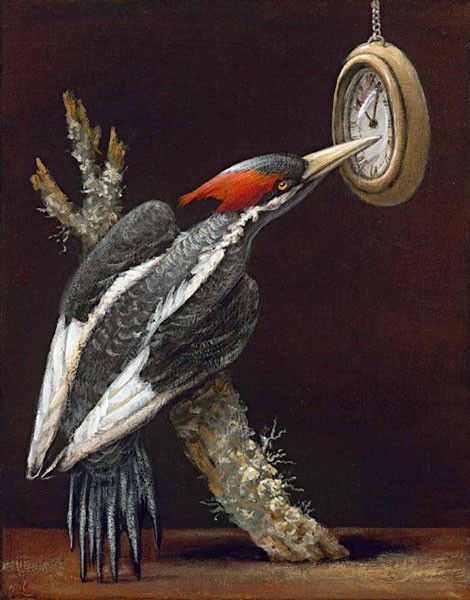 12-Beaux tableaux de  Kevin Sloan