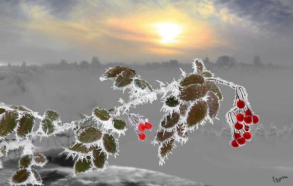 Photographe : Igor Zenin