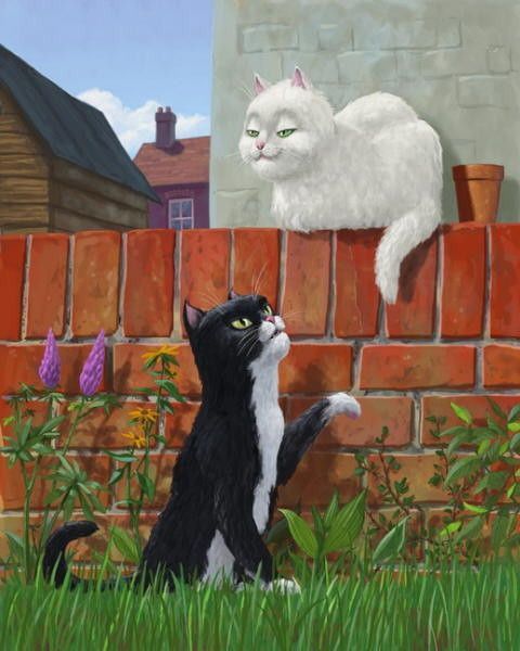14-chats peints serie B  ( M.D )