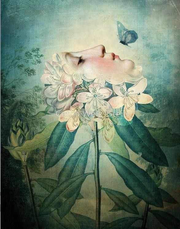 12-Beaux tableaux de Catrin Welz-Stein 