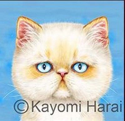 38-Mignonnes illustrations de Kayomi Harai