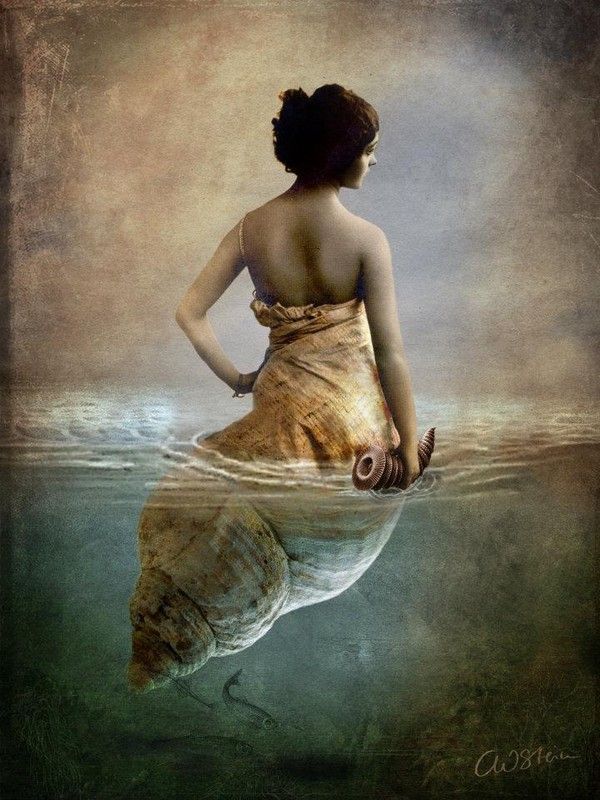 12-Beaux tableaux de Catrin Welz-Stein