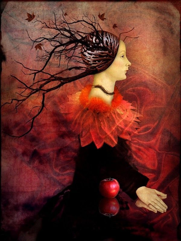 12-Beaux tableaux de Catrin Welz-Stein