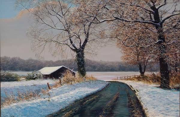 Paysages en peintures C  de David Smith 