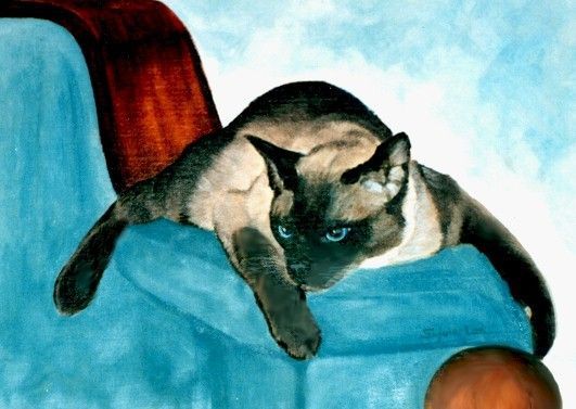 Chats  en peintures  serie A   (S.L.W)