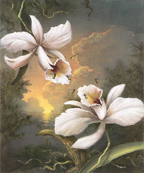 12-Beaux tableaux de  Kevin Sloan