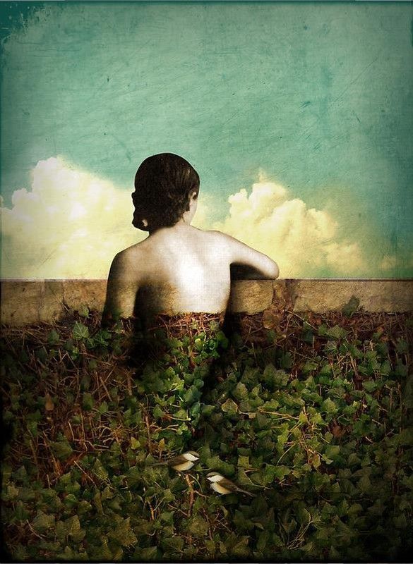 12-Beaux tableaux de Catrin Welz-Stein