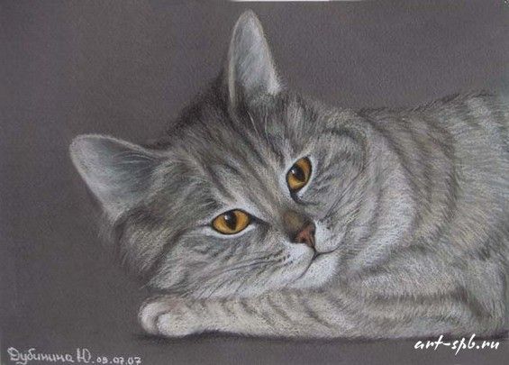 Chats  en peintures  serie A   ( J.D)