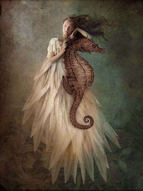 12-Beaux tableaux de Catrin Welz-Stein