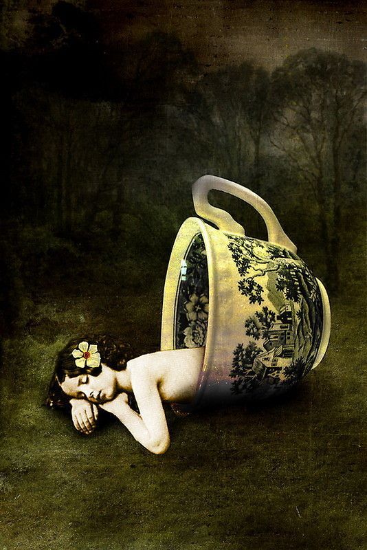 12-Beaux tableaux de Catrin Welz-Stein