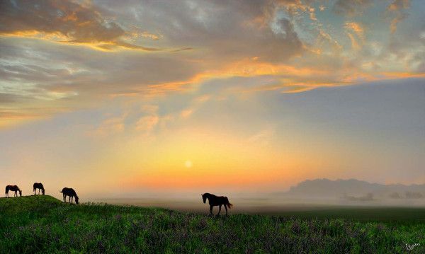 Photographe : Igor Zenin