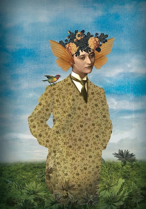 12-Beaux tableaux de Catrin Welz-Stein