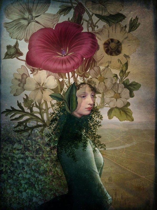 12-Beaux tableaux de Catrin Welz-Stein 