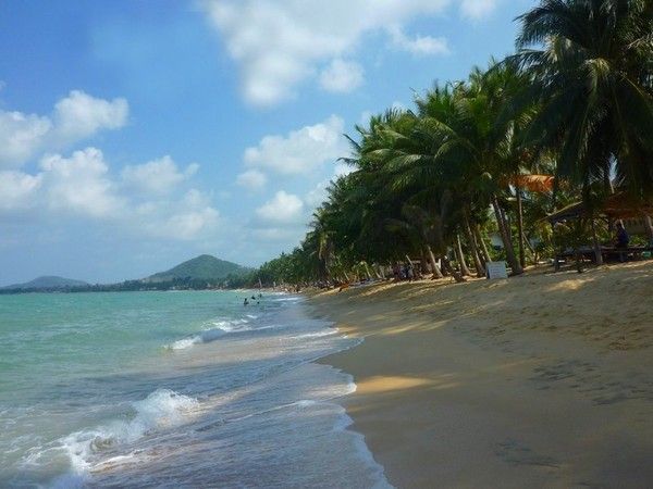 Voyage à Koh Samui  ( ile Thailandaise )