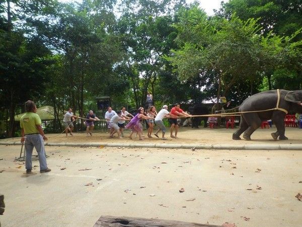 Voyage à Koh Samui  ( ile Thailandaise )