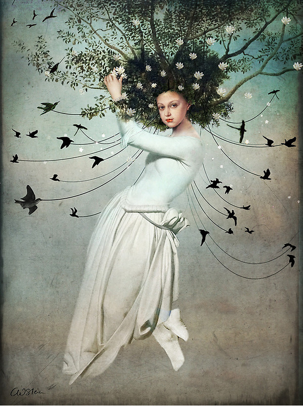 12-Beaux tableaux de Catrin Welz-Stein