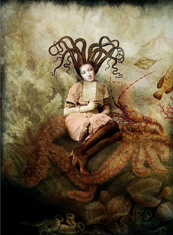 12-Beaux tableaux de Catrin Welz-Stein