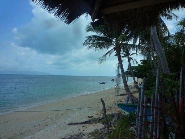 Voyage à Koh Samui  ( ile Thailandaise )