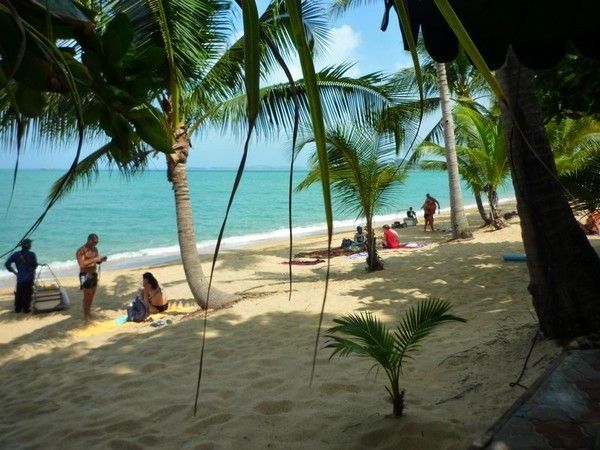 Voyage à Koh Samui  ( ile Thailandaise )