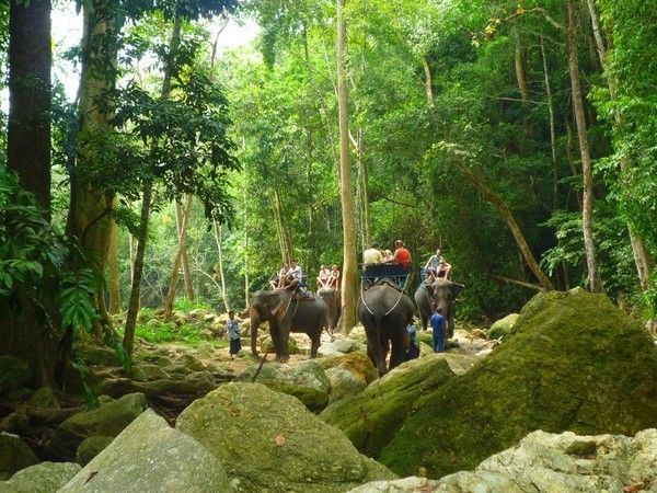 Voyage à Kho Samui hiver 2013 ( Suite)