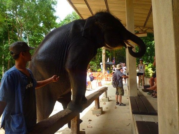 Voyage à Koh Samui  ( ile Thailandaise )