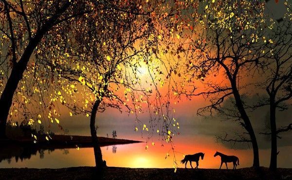 Photographe : Igor Zenin