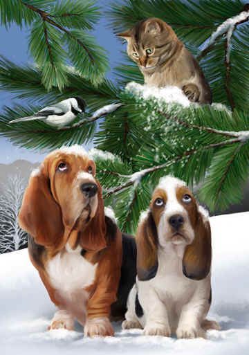 Chats chiens mignonnes images B  ( T.W)