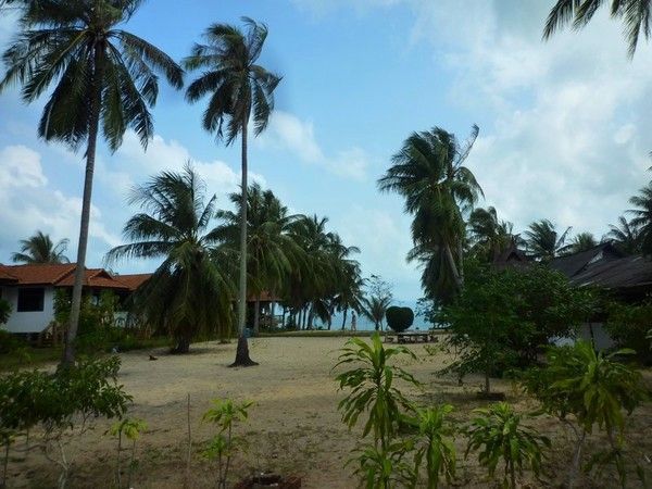 Voyage à Koh Samui  ( ile Thailandaise )