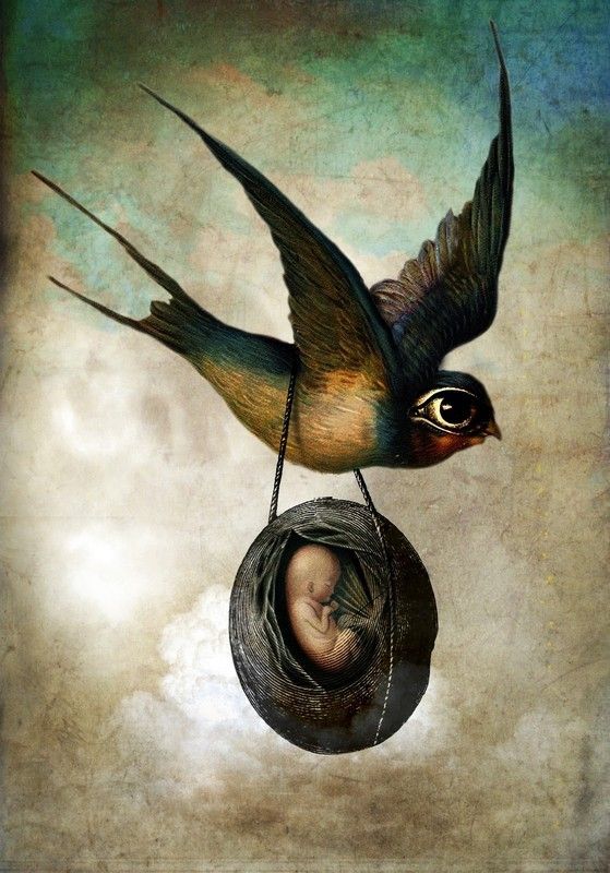 12-Beaux tableaux de Catrin Welz-Stein